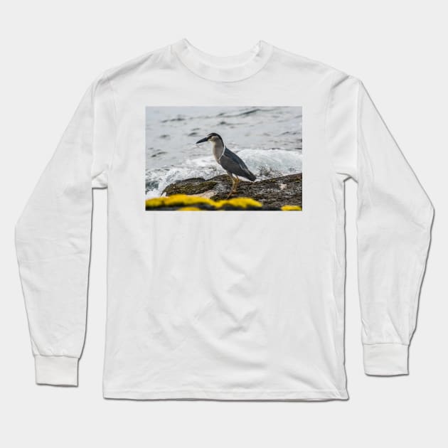 Black-crowned night heron 5 Long Sleeve T-Shirt by KensLensDesigns